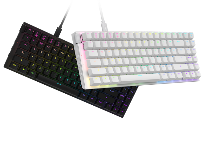 Function 2 MiniTKL Keyboard in Black and White with RGB lighting